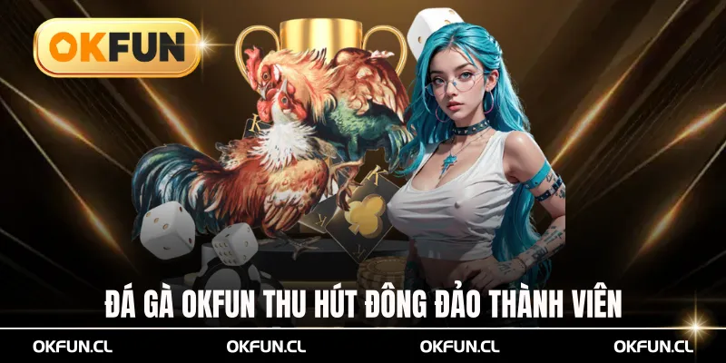 Đá gà OKFUN thu hút đông đảo thành viên tham gia