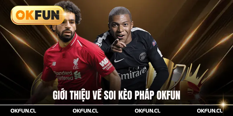 Giới thiệu về soi kèo Pháp OKFUN