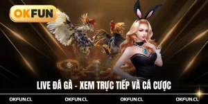 live đá gà trực tiếp và cá cược