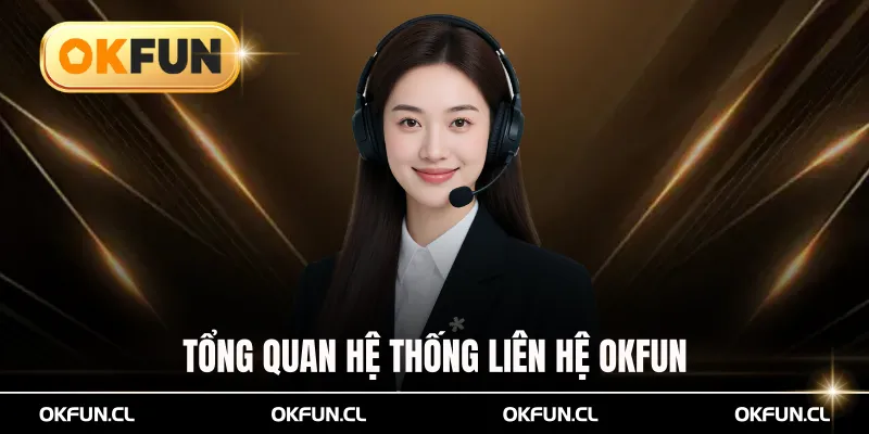 tổng quan hệ thống liên hệ okfun
